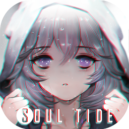 灵魂潮汐完整版
